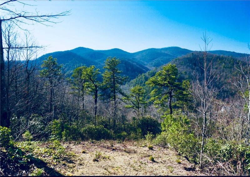 Property image 2 at 137 Davey Crockett Road, Fairview, NC 28730