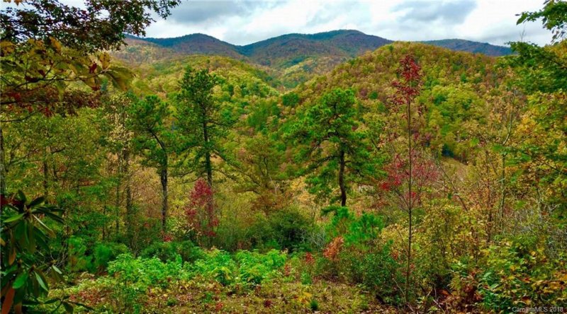 Property image 3 at 137 Davey Crockett Road, Fairview, NC 28730