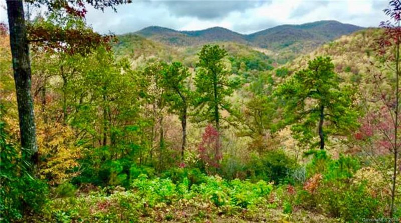 Property image 4 at 137 Davey Crockett Road, Fairview, NC 28730