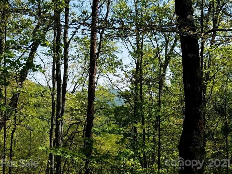 Property image 5 at 0 Upper Ridge Road, Bostic, NC 28018