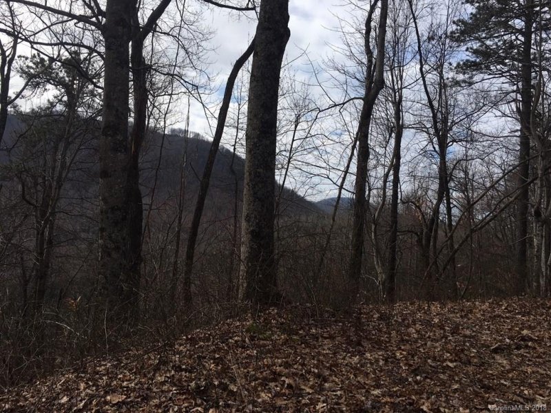 Property image 3 at 999 Laurel Mountain Road, Black Mountain, NC 28711