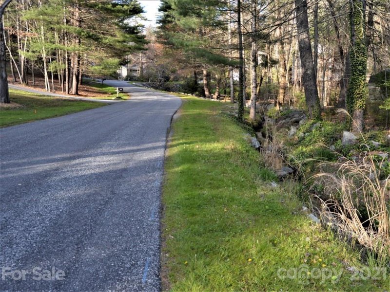 Property image 2 at 107 Fountain Trace Drive, Hendersonville, NC 28739