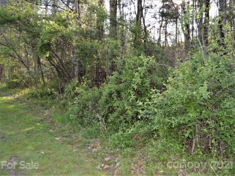 Property image 3 at 107 Fountain Trace Drive, Hendersonville, NC 28739