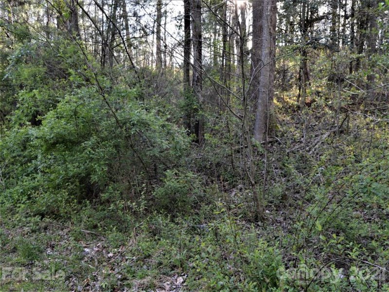 Property image 4 at 107 Fountain Trace Drive, Hendersonville, NC 28739