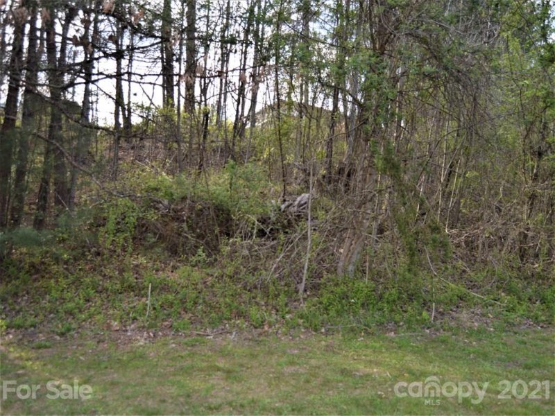 Property image 5 at 107 Fountain Trace Drive, Hendersonville, NC 28739