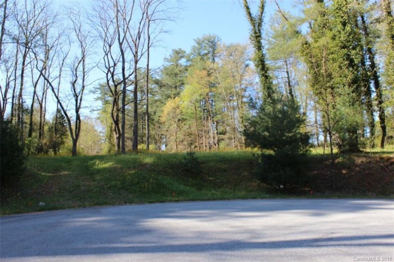 Property image 3 at 210 Benhurst Court, Hendersonville, NC 28791