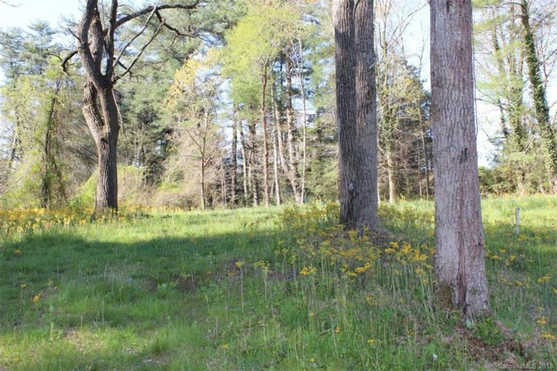 Property image 4 at 210 Benhurst Court, Hendersonville, NC 28791