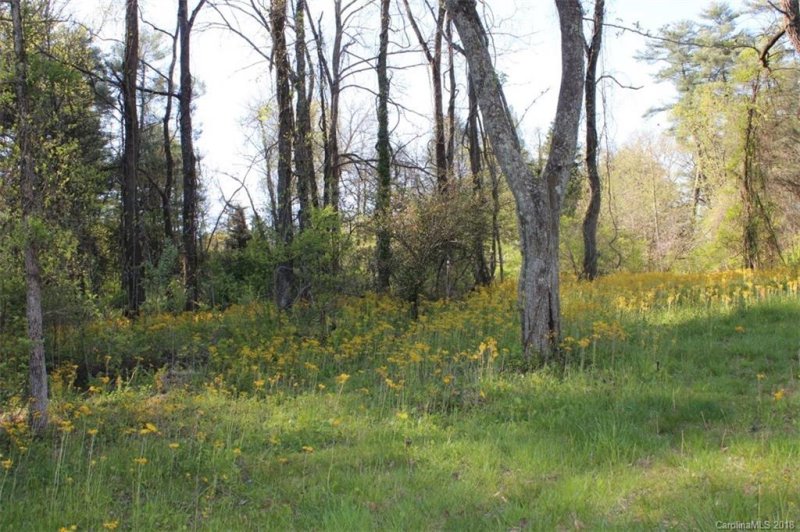 Property image 5 at 210 Benhurst Court, Hendersonville, NC 28791