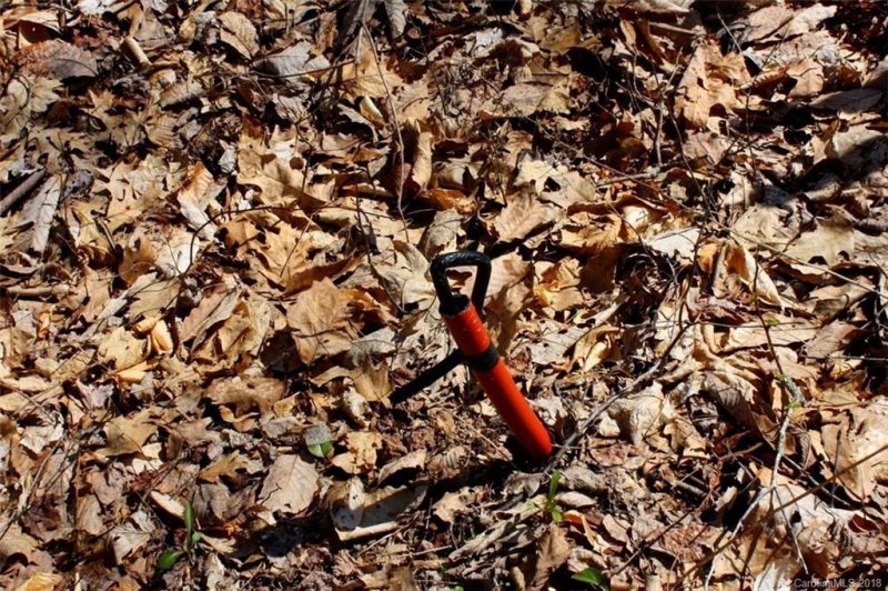 Property image 3 at 15 Red Wolf Run, Mars Hill, NC 28754