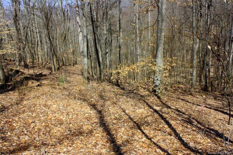 Property image 5 at 15 Red Wolf Run, Mars Hill, NC 28754