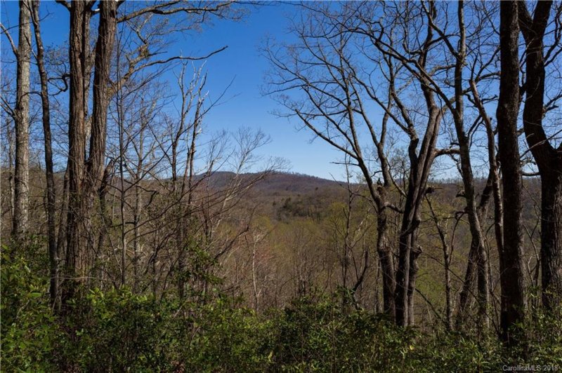 Property image 2 at 99999 Lower Flat Creek Road, Black Mountain, NC 28711