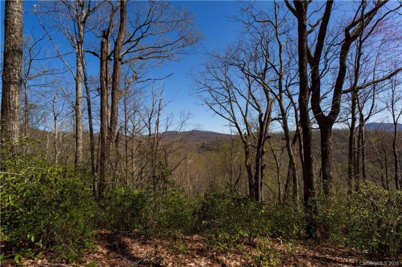 Property image 3 at 99999 Lower Flat Creek Road, Black Mountain, NC 28711