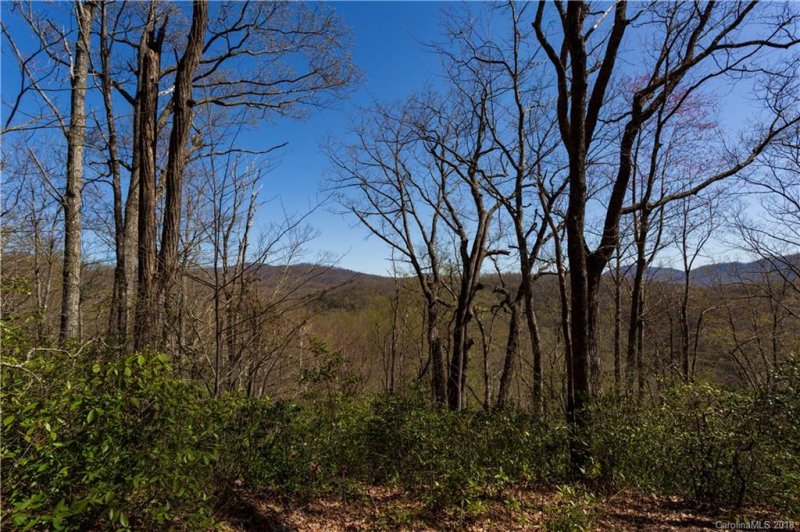 Property image 4 at 99999 Lower Flat Creek Road, Black Mountain, NC 28711