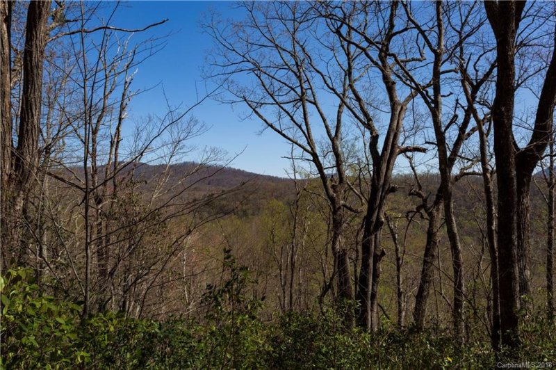 Property image 5 at 99999 Lower Flat Creek Road, Black Mountain, NC 28711