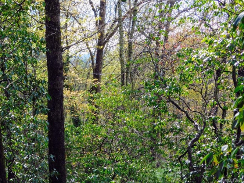 Property image 2 at L25r Pisgah Forest Drive, Pisgah Forest, NC 28768