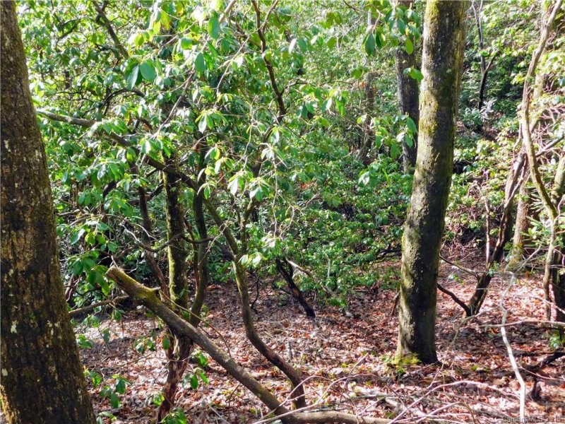 Property image 3 at L25r Pisgah Forest Drive, Pisgah Forest, NC 28768