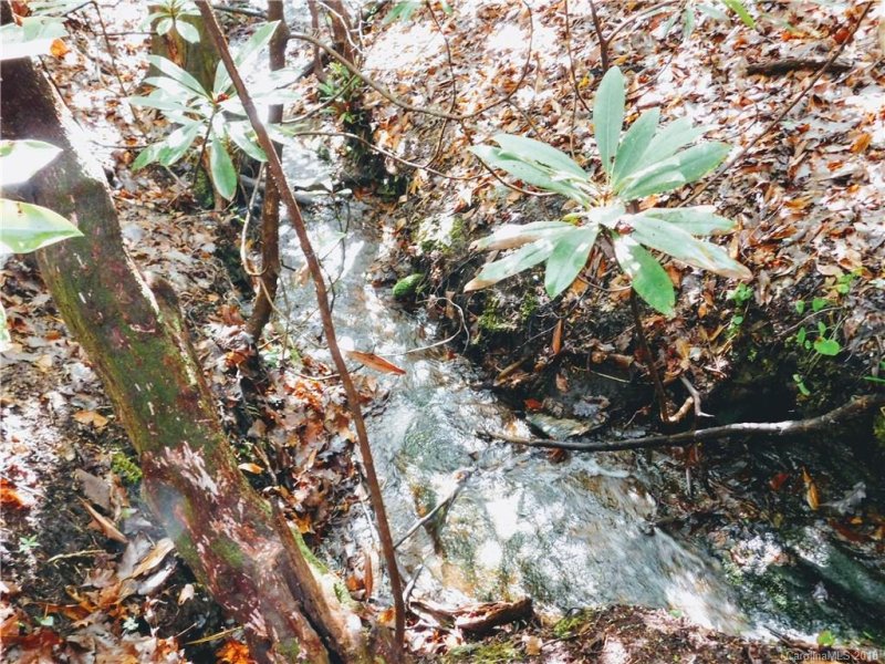 Property image 4 at L25r Pisgah Forest Drive, Pisgah Forest, NC 28768