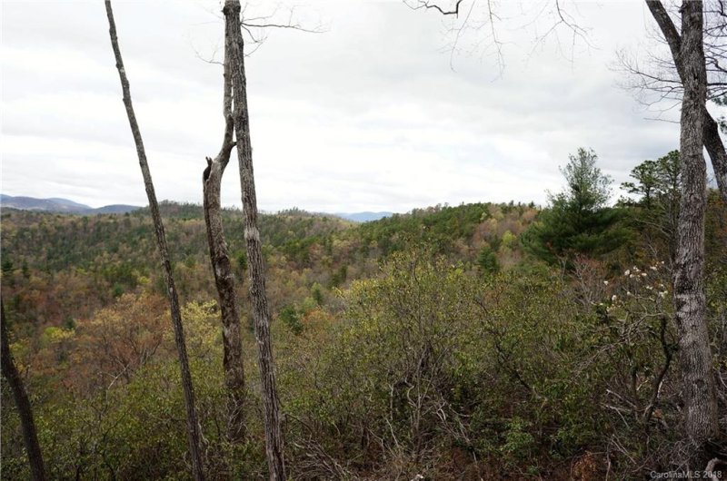 Tbd Ruffed Grouse Road