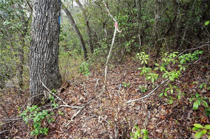 Property image 4 at Tbd Ruffed Grouse Road, Brevard, NC 28712