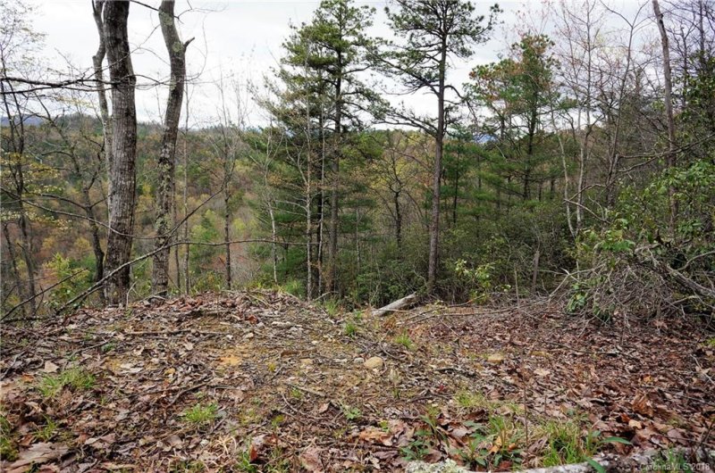 Property image 5 at Tbd Ruffed Grouse Road, Brevard, NC 28712