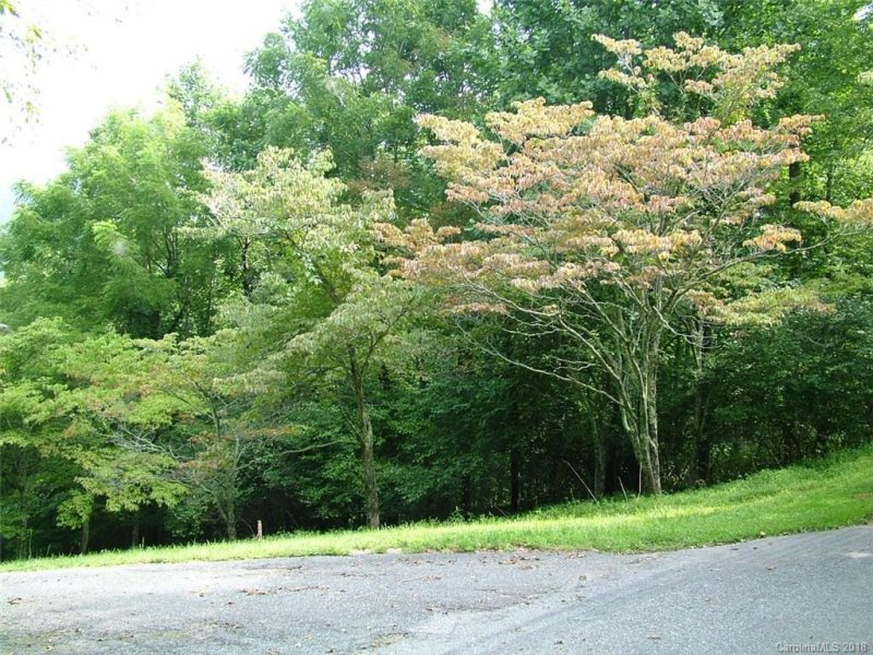 Property image 3 at Lot 7 Club Drive, Canton, NC 28716