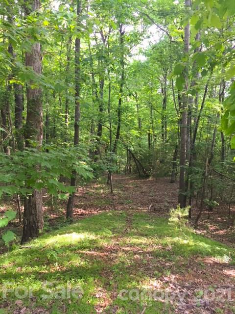 Lot 50 A Oak View Lane