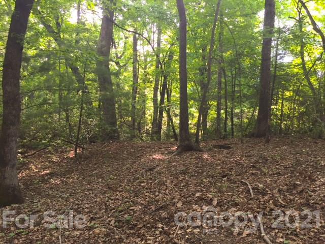 Property image 2 at Lot 50 A Oak View Lane, Saluda, NC 28773