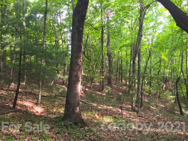Property image 3 at Lot 50 A Oak View Lane, Saluda, NC 28773