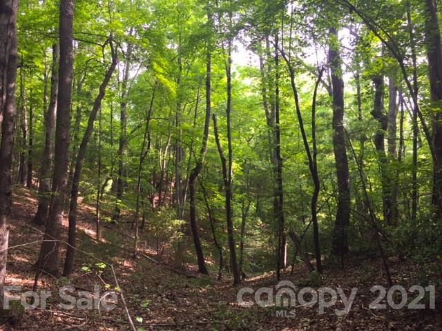Property image 4 at Lot 50 A Oak View Lane, Saluda, NC 28773