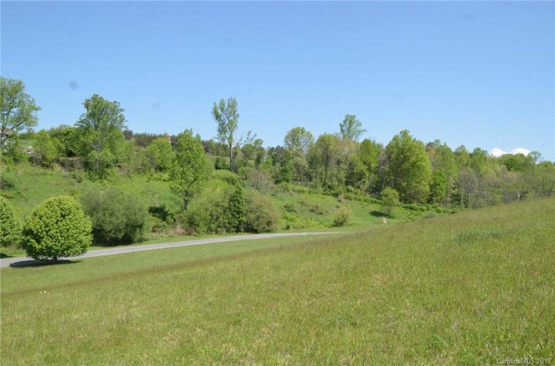 Property image 2 at 52 Ivy Meadows Drive, Weaverville, NC 28787