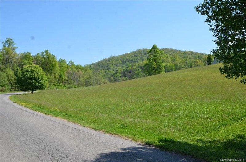 Property image 3 at 52 Ivy Meadows Drive, Weaverville, NC 28787