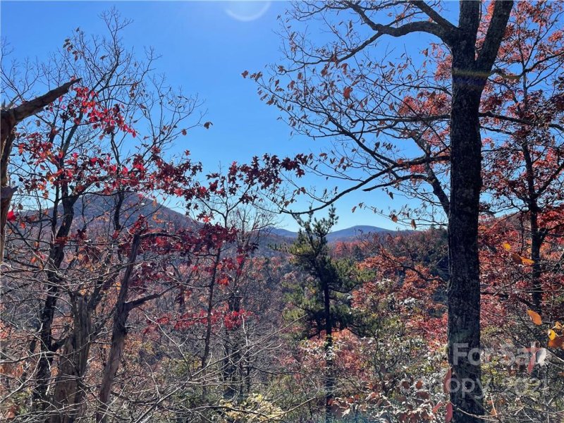 Tbd Miller Cove Road