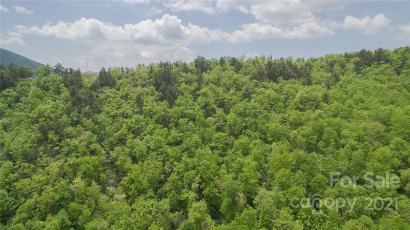 Property image 4 at Tbd Miller Cove Road, Black Mountain, NC 28711