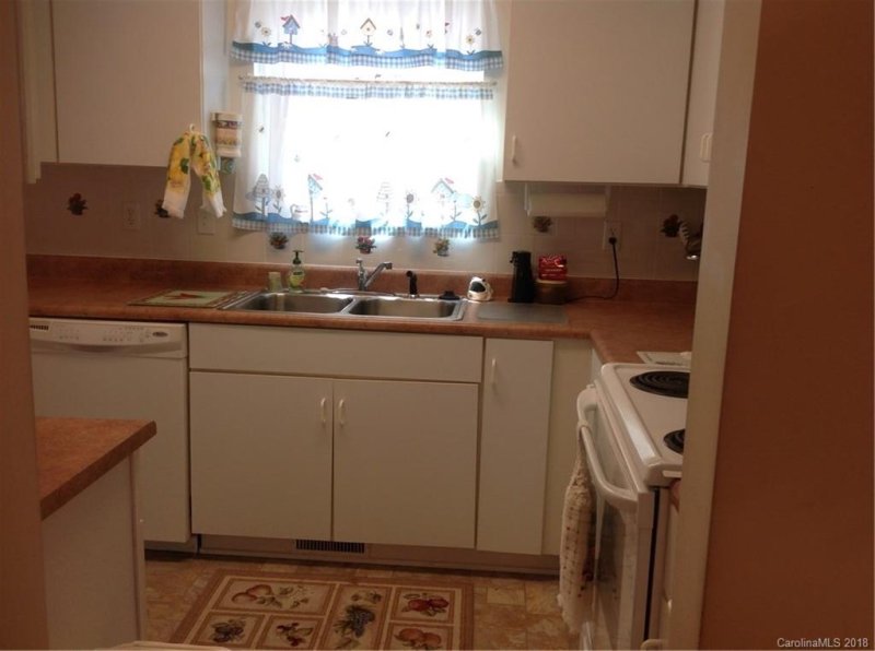 Property image 3 at 21 S Woodridge View Court, Hendersonville, NC 28791