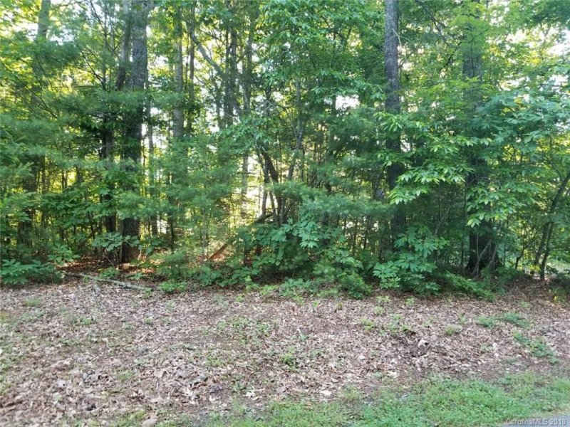 Property image 4 at 9999 Settlers Trail, Mars Hill, NC 28754