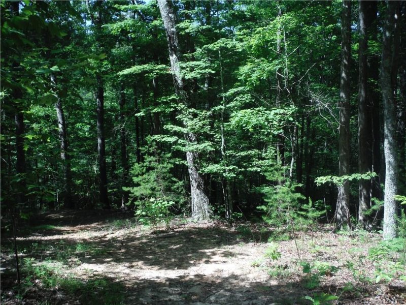 Property image 2 at 0 Cane Creek Mountain Road, Union Mills, NC 28167