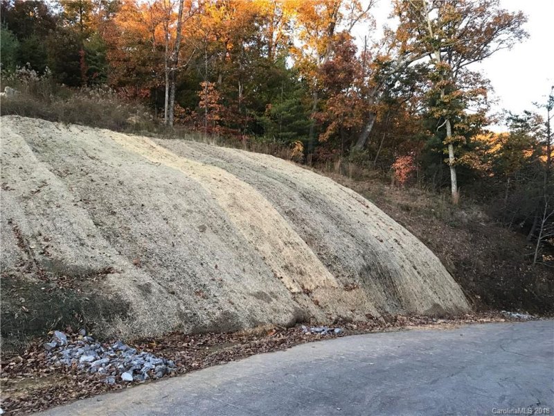 Property image 5 at 145 Black Oak Drive, Asheville, NC 28804