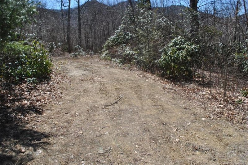 Property image 3 at 00 Chickadee Lane, Maggie Valley, NC 28751