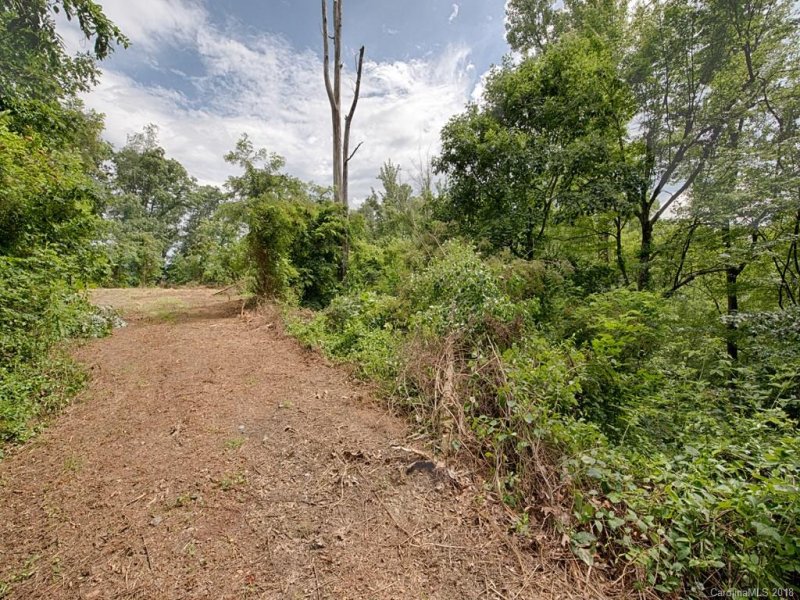 Property image 3 at 508 Blake Drive, Canton, NC 28716