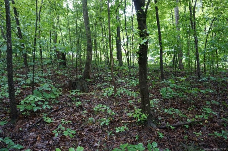 Lot 31 Bent Tree Drive