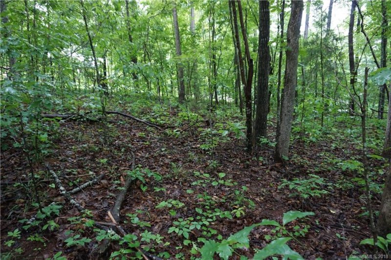 Property image 2 at Lot 31 Bent Tree Drive, Rutherfordton, NC 28139