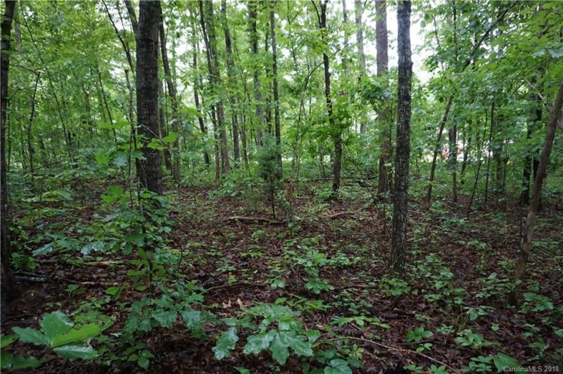 Property image 3 at Lot 31 Bent Tree Drive, Rutherfordton, NC 28139