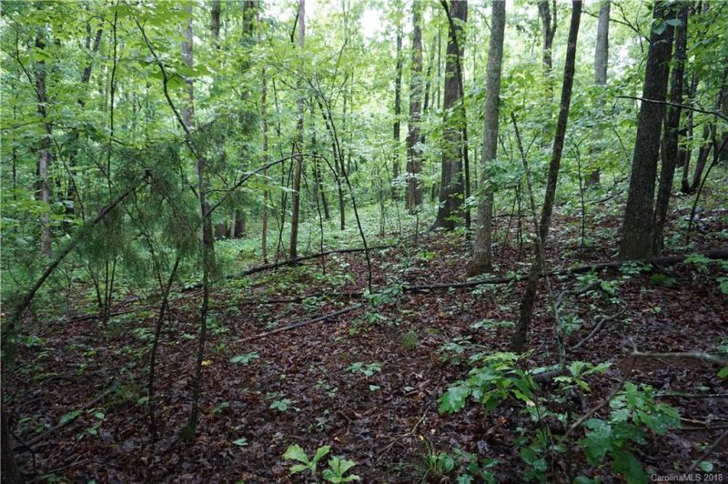 Property image 4 at Lot 31 Bent Tree Drive, Rutherfordton, NC 28139