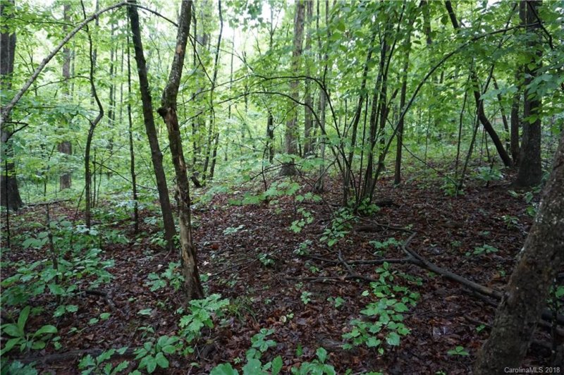 Property image 5 at Lot 31 Bent Tree Drive, Rutherfordton, NC 28139