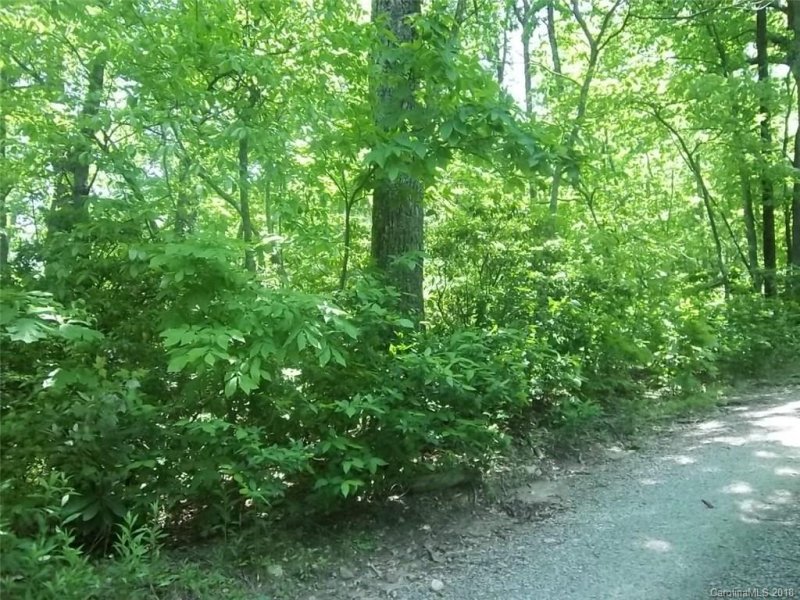 Property image 3 at 00 Old Mill Road, Hendersonville, NC 28792