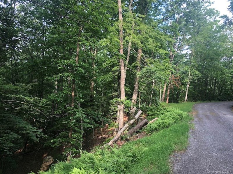 Property image 3 at K 12r Galax Lane, Brevard, NC 28712