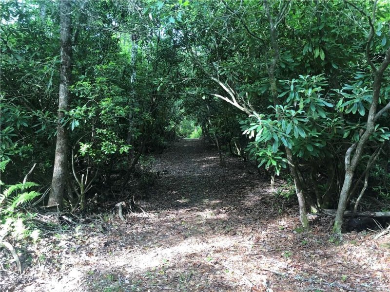 Property image 5 at K 12r Galax Lane, Brevard, NC 28712