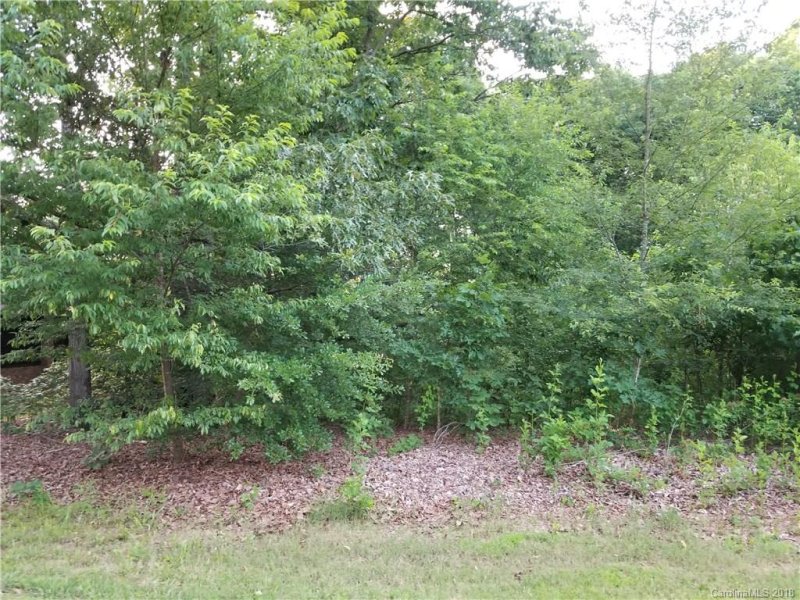 Property image 2 at Lot 9 Dover Street, Claremont, NC 28610