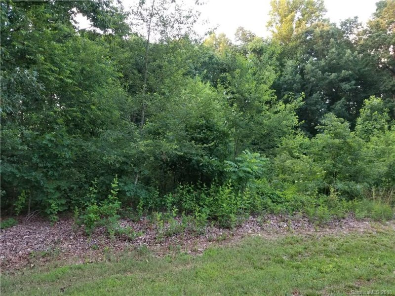 Property image 3 at Lot 9 Dover Street, Claremont, NC 28610