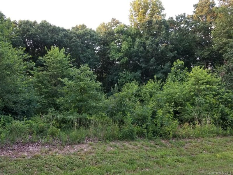 Property image 2 at Lot 10 Dover Street, Claremont, NC 28610